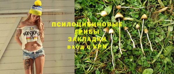 PSILOCYBIN Беломорск