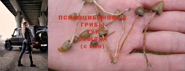 PSILOCYBIN Беломорск