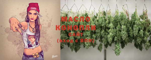 прущий лед Михайлов