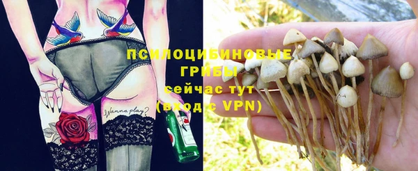 PSILOCYBIN Беломорск