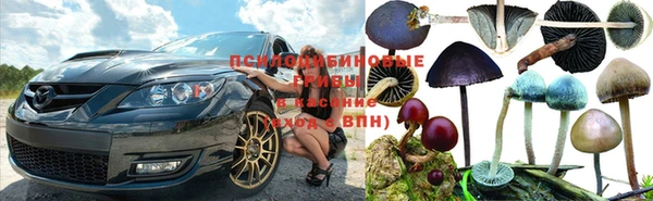 хмурый Наволоки