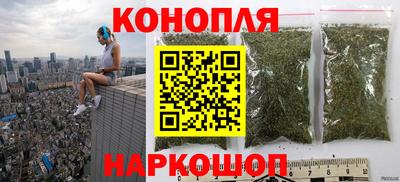 тгк Канаш